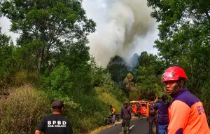 Karhutla Gunung Bromo Meluas Hingga Probolinggo