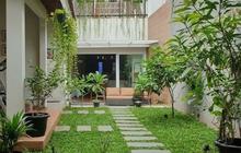 Inspirasi Taman Minimalis Belakang Rumah yang Asri dan Fungsional