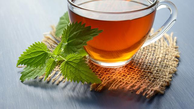 Teh herbal daun jelatang