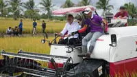 Tinjau Panen Padi di Banyuasin, Zulhas Janji Bulog Bakal Beli Gabah Petani Rp 6.500