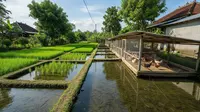 Universitas Jember Gandeng Industri untuk Pengembangan SDM Pertanian