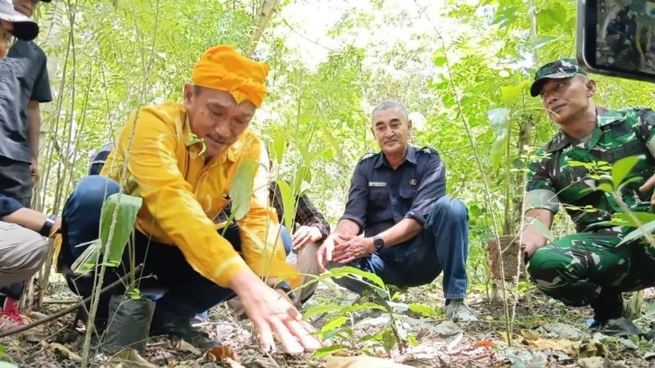 Pemkab Sigi Ajak Lintas Sektor Bersatu Jaga Hutan Ranjuri Sigi yang Berusia Ratusan Tahun