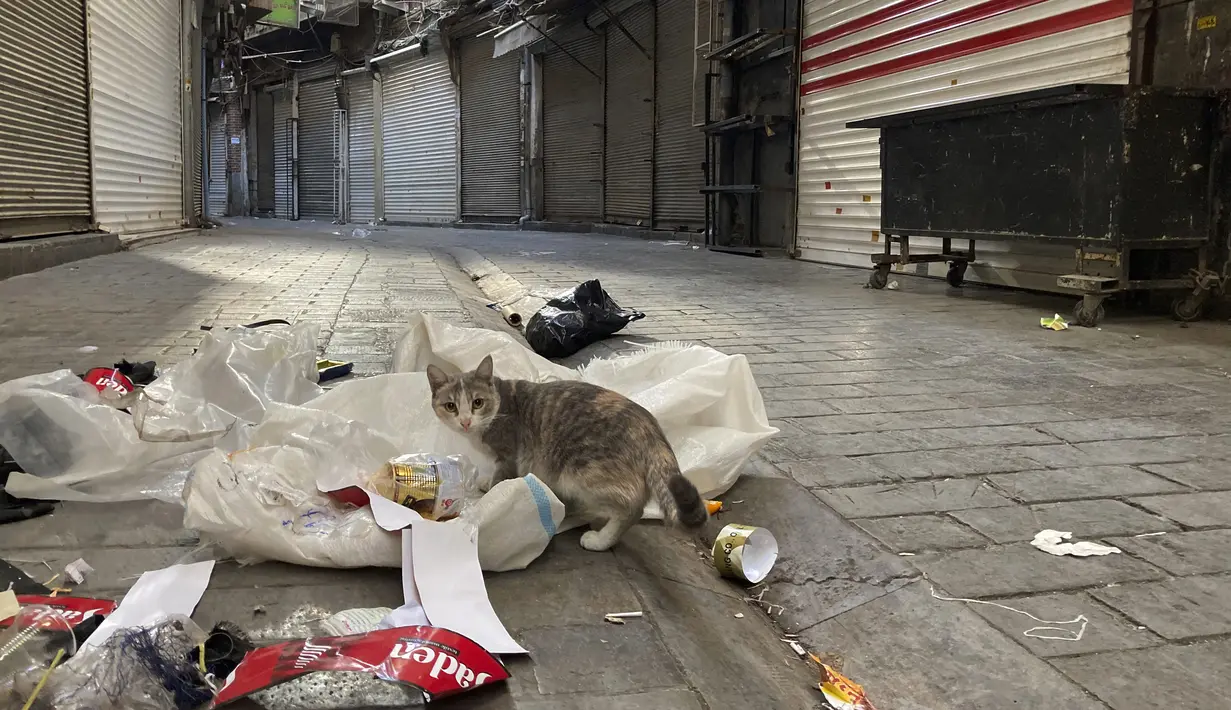 Seekor kucing mencari makan di tempat sampah di depan toko-toko yang tutup di Grand Bazaar Teheran, Iran, Selasa (15/11/2022). Penutupan toko terjadi di tengah seruan untuk pemogokan nasional selama tiga hari, menandai protes sebelumnya pada tahun 2019 terhadap teokrasi Iran yang berakhir dengan tindakan kekerasan oleh pihak berwenang. (AP Photo/Vahid Salemi)