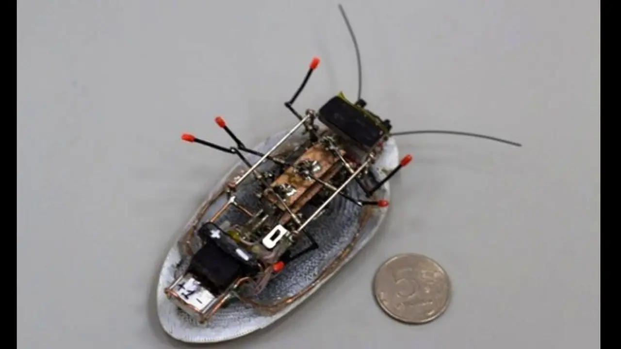 Robot kecoak