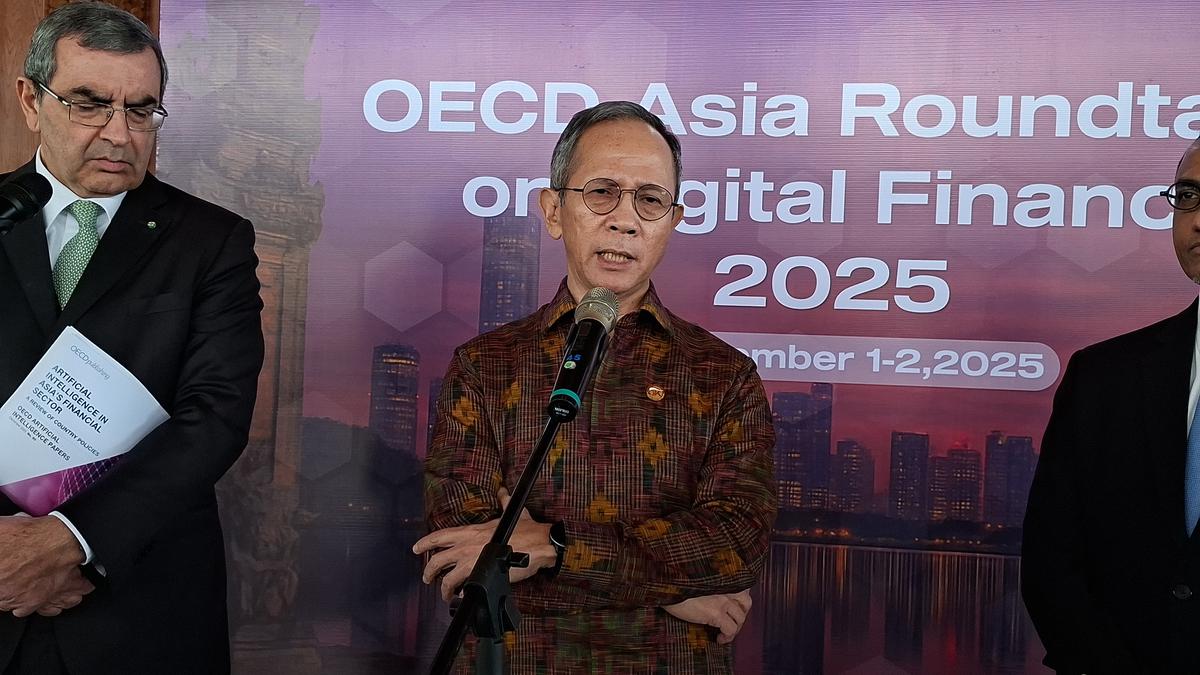 Standar Keuangan Indonesia Bisa Naik Kelas Setelah Jadi Anggota Penuh OECD