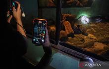 Kembali Diuji Coba, Ragunan Night Tawarkan Pengalaman Melihat Satwa Nokturnal di Malam Hari