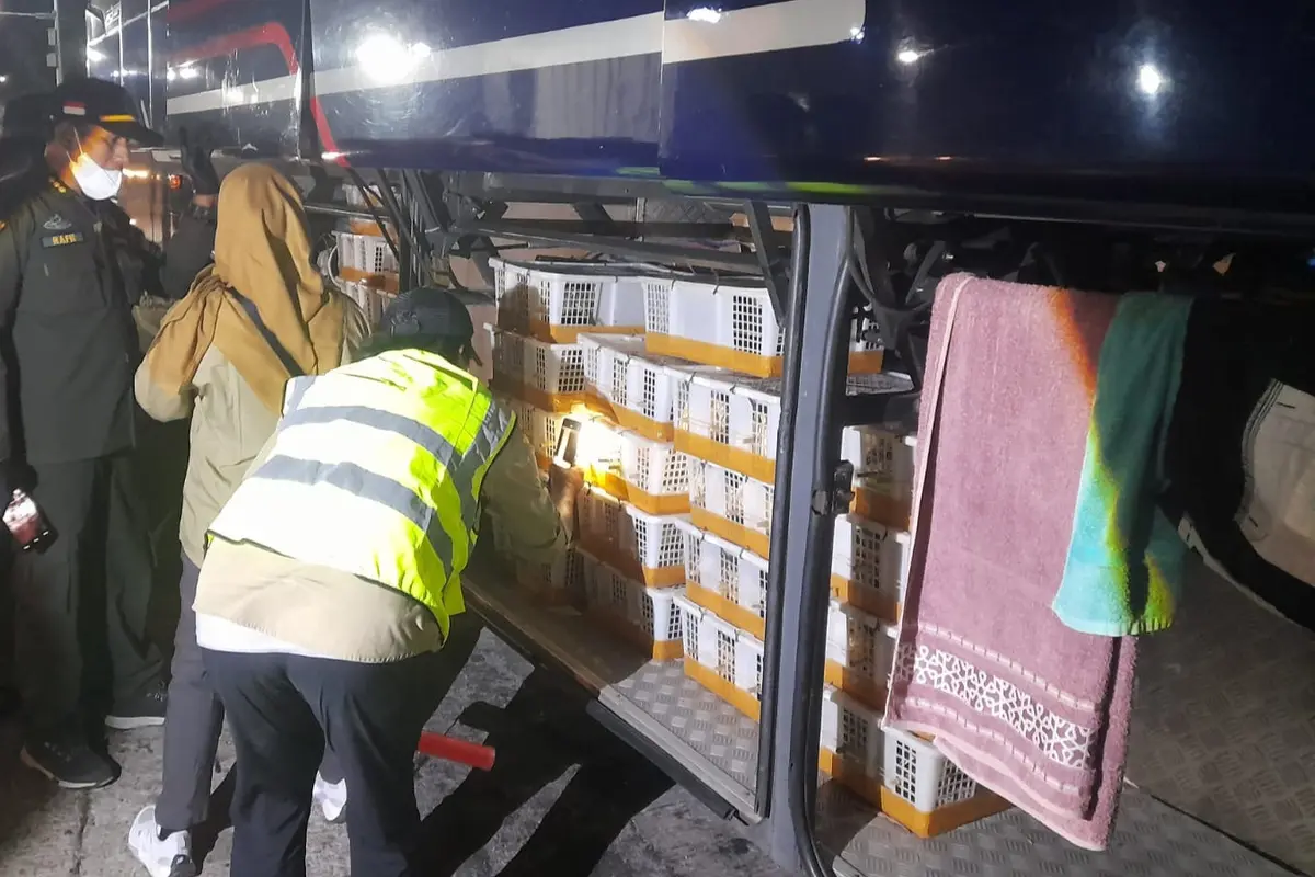 Karantina Lampung Gagalkan Penyelundupan 670 Burung di Bakauheni