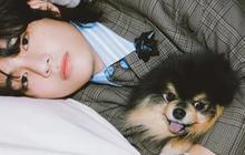 Kenangan Manis Yeontan, Anjing Kesayangan V BTS yang Kini Telah Berpulang