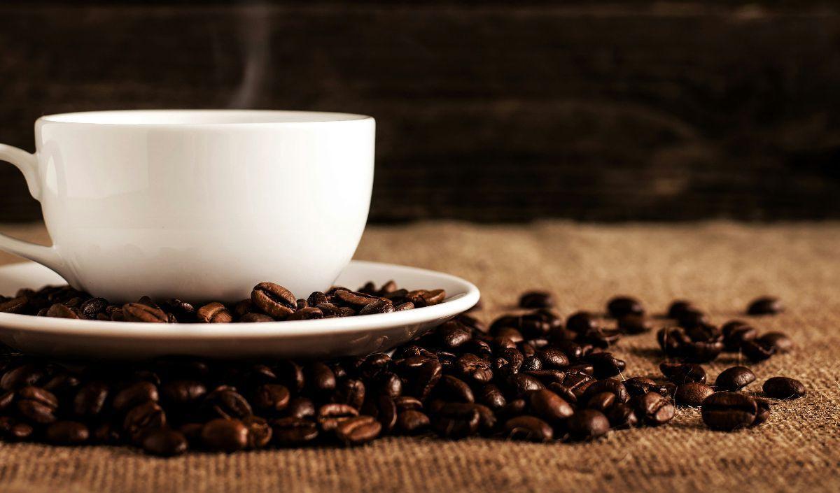1. Arabica