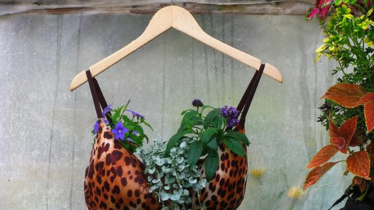 [Bintang] 10 DIY Ini Memang Kreatif, tapi Nggak Begini Juga Kali Ya...