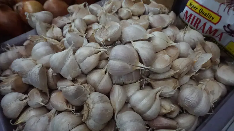 Bawang Putih