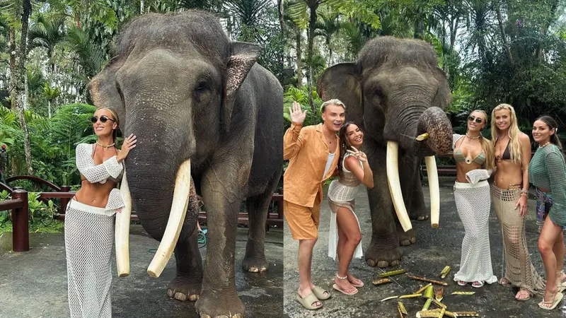 Seorang seorang influencer bernama Amber Turner dikecam karena berfoto bersama gajah yang gadingnya dipotong di sebuah kebun binatang di Bali