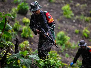 Prajurit Tentara Indonesia Angkatan Darat menjaga tanaman ganja selama penggerebekan ladang ganja di Indrapuri, provinsi Aceh, Sabtu (06/07/2026). (AFP/ Chaideer Mahyuddin)