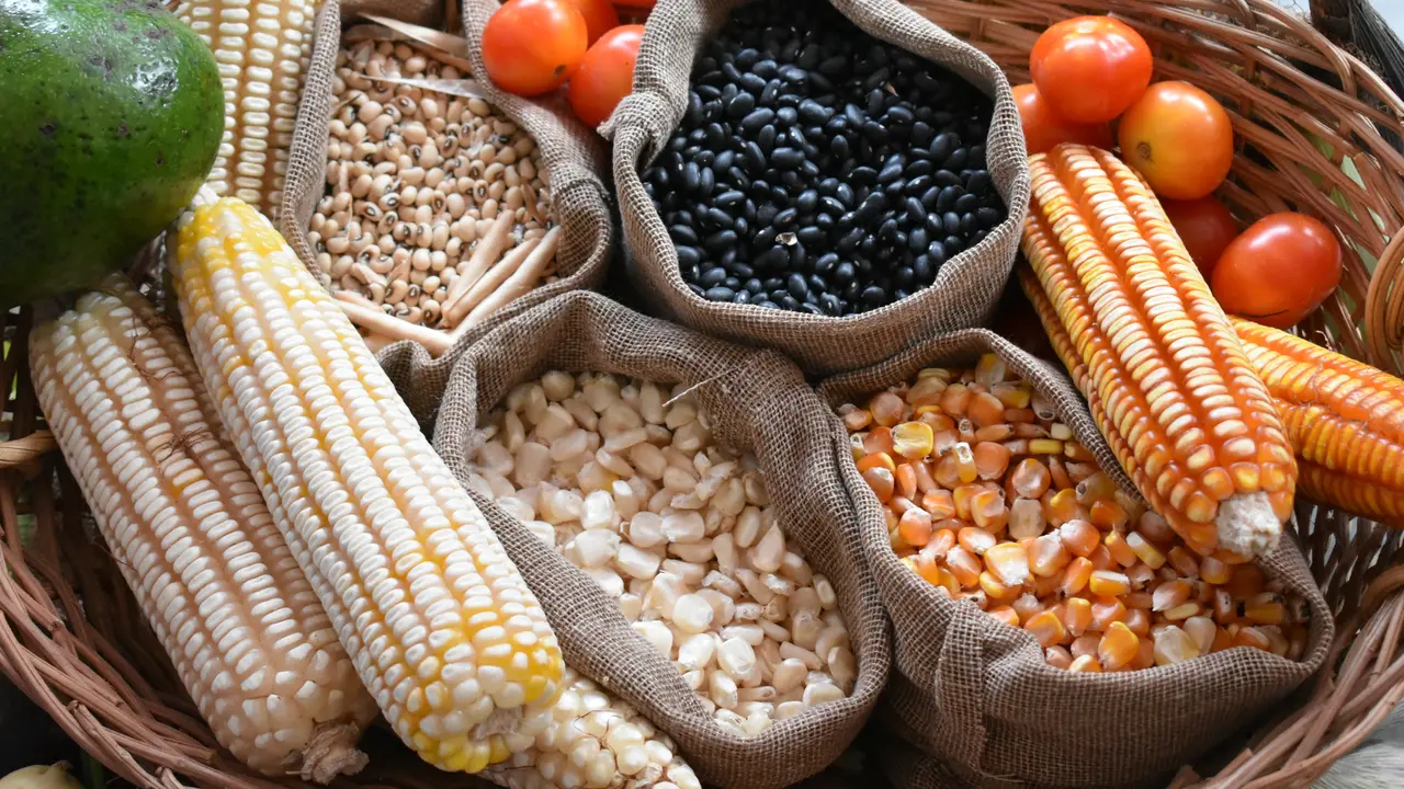 Jagung