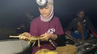 Andi Sarina, perempuan berusia 26 tahun, alumni Jurusan Biologi, Unviersitas Mulawarman layak disebut sebagai gadis buaya. Aktivitasnya di Yayasan Ulin harus melakukan pemantauan di Lahan Basah Mesangat-Suwi di Kabupaten Kutai Timur, Kalimantan Timur yang merupakan habitat terakhir buaya badas hitam di muka bumi. (foto: liputan6.com/Awaluddin Jalil)