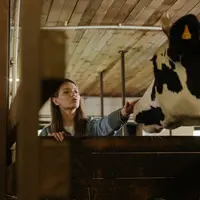 Rumini, Kartini Peternak Indonesia tinggalkan karier cemerlang demi menjadi peternak sapi di desa. (pexels/cottonbro).