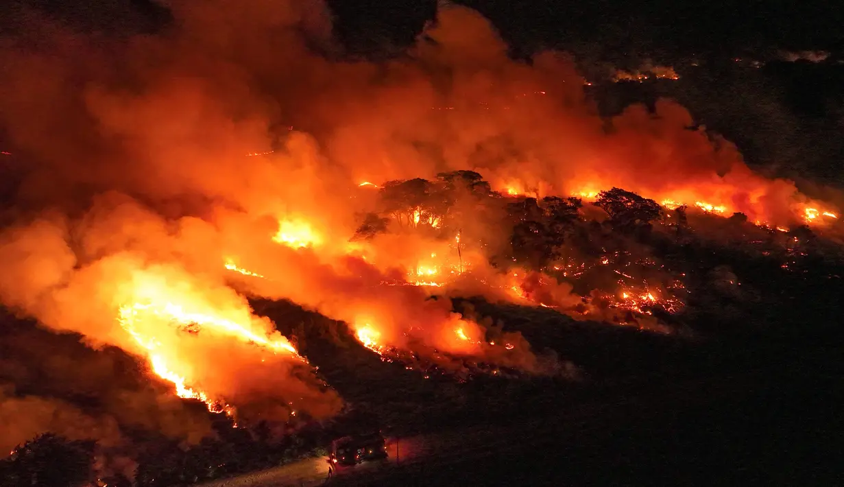 Area lahan basah di bioma Pantanal dekat Pocone terbakar. (AP Photo/Andre Penner)