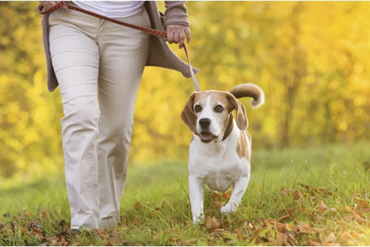 Foto: copyright thinkstockphotos.com