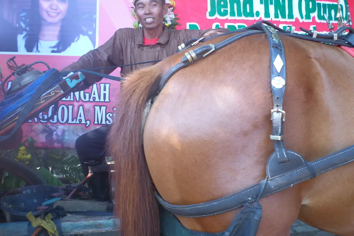 [Bintang] Ngabehi Sunardi