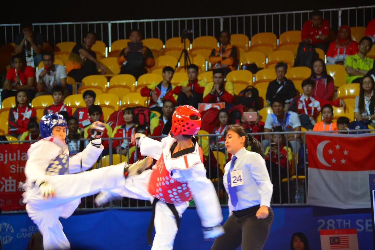 Taekwondo