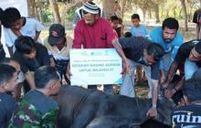 PLN EPI Salurkan 1.000 Paket Daging Kurban ke Wilayah 3T Maluku dan NTT, Hadirkan Kebahagiaan Idul Adha