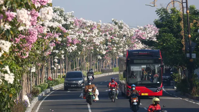082482600_1633075047-QR9A8091__1_.jpg (640×360)