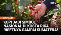 Kopi Jadi Simbol Nasional di Kosta Rika, Risetnya Sampai Sumatera!