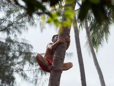 Seorang pria memanjat pohon saat mengikuti kejuaraan dunia pertama panjat pohon kelapa di Papeete, Polinesia (15/7). Kompetisi ini juga sebagai bagian dari festival budaya besar bagi orang Polinesia. (AFP Photo/Gregory Boissy)