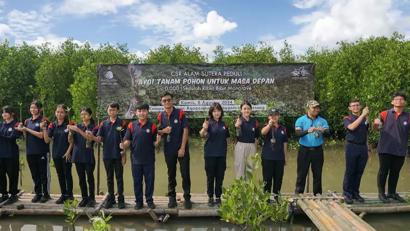 Tanam 5 Ribu Mangrove, Puluhan Siswa dan Pengembang Bantu Seimbangkan Ekosistem Pesisir Tangerang