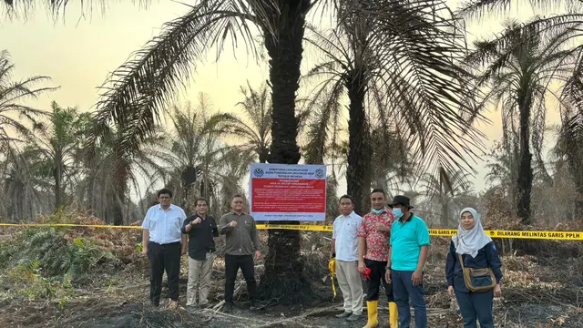 4 Kebun Sawit dan 1 Pabrik Disegel KLH Buntut Bencana Karhutla di Rokan Hilir Riau