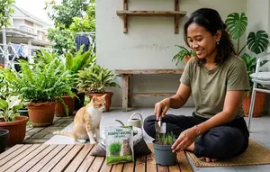 Cara Menanam Rumput Kucing di Wadah Kecil untuk Hewan Peliharaan, Ini Langkahnya