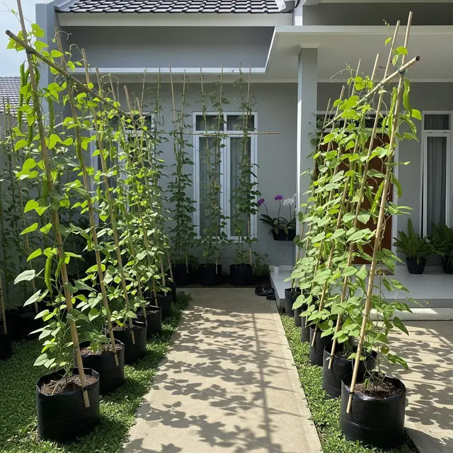 Ide Kebun Kecipir untuk Lahan Menganggur