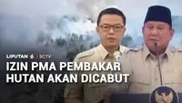 Perusahaan Asing Terancam Kehilangan Izin Jika Terbukti Bakar Hutan