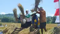 Panen Kali Ini, Bulog Jateng Mengaku Sulit Serap Beras Petani