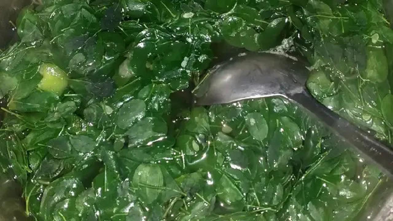 3 Resep Praktis Sayur Daun Kelor, Kreasi dengan Jagung hingga Wortel