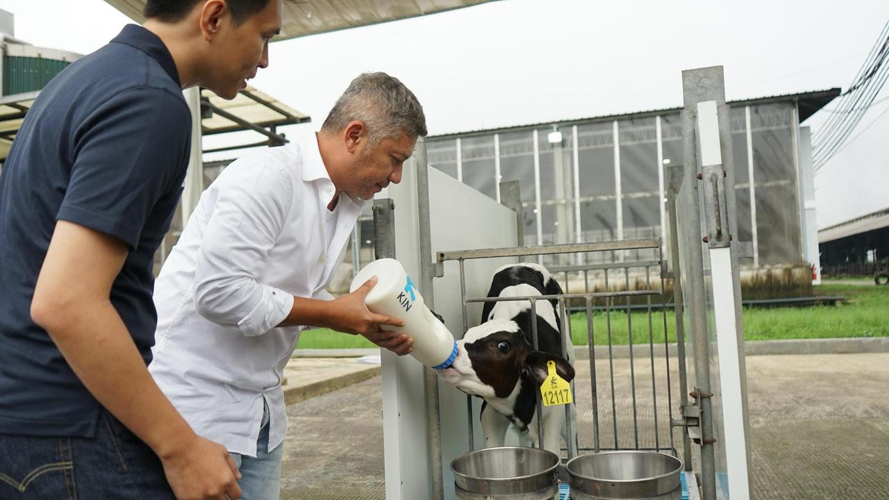 Gading Marten Beri Nama Seekor Sapi saat Kunjungi Peternakan di Garut, Telepon Gempi Buat Minta Pendapat