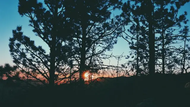 Sierra National Forest