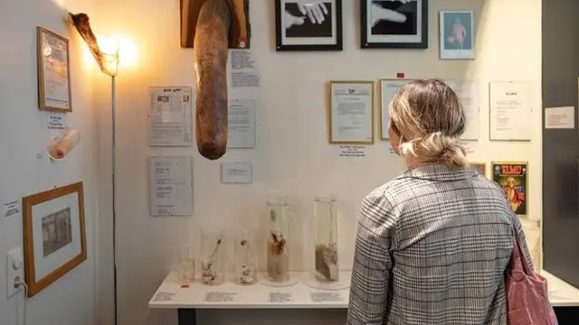 Museum Vagina1