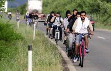 Cari pelindungan, para imigran Suriah rela gowes sepeda ribuan Km