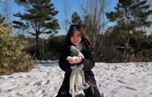 7 Potret Cantik Menawan Gisella Anastasia Nikmati Salju di Jepang, Outfit Mama Gempi Jadi Sorotan