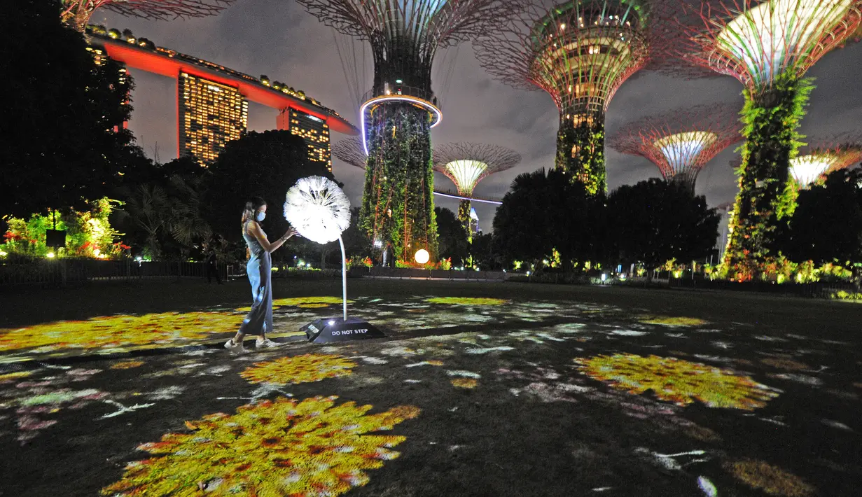 Pengunjung berinteraksi dengan instalasi multimedia "Dandelion" di Gardens by the Bay, Singapura, pada 9 November 2020. "Dandelion" memungkinkan orang-orang di Singapura dan Jepang berinteraksi satu sama lain yang dipamerkan secara bersamaan di kedua negara hingga 15 November. (Xinhua/Then Chih Wey)