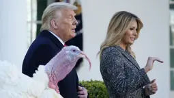 Presiden Donald Trump (kiri) didampingi Ibu Negara Melania Trump pergi usai mengampuni Corn si Kalkun Thanksgiving Nasional di Rose Garden, Gedung Putih, Washington, Amerika Serikat, Selasa (24/11/2020). Thanksgiving adalah hari libur resmi di Amerika Serikat. (AP Photo/Susan Walsh)