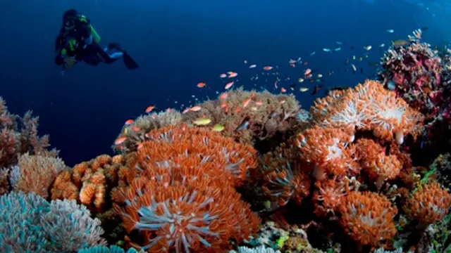 Tanjung Bira, Destinasi Para Traveler di Selatan Pulau Sulawesi