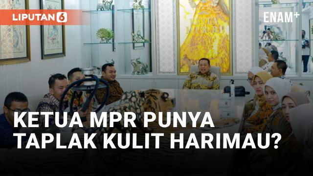 Bambang Soesatyo Jelaskan Foto Taplak Meja Kulit Harimau di Kantornya