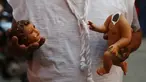 Seorang pria membawa patung Bayi Yesus yang rusak untuk direstorasi di Hospitalito de Ninos Dios Gaby atau Rumah Sakit Bayi Yesus Kecil Gaby dalam bahasa Spanyol, Meksiko City, 28 Januari 2021. Warga Meksiko merestorasi patung Bayi Yesus untuk merayakan Candlemas Day. (AP Photo/Rebecca Blackwell)