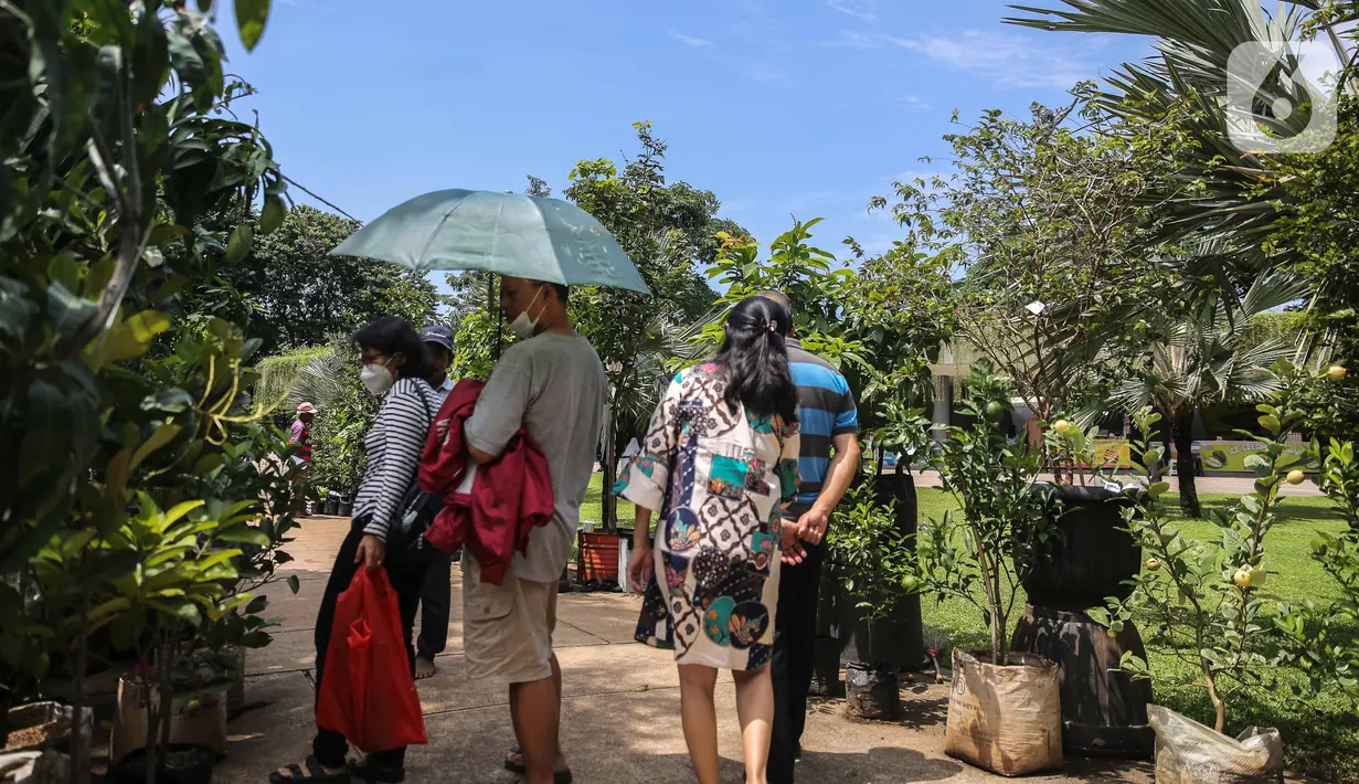 Pengunjung melihat tanamam yang dipamerkan di Lapangan Banteng, Jakarta, dalam acara Floraction, Sabtu (18/2/2023). Floraction menampilkan berbagai jenis tanaman, dari tanaman hias, bunga hingga tanaman buah. (Liputan6.com/Faizal Fanani)