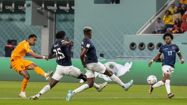 Timnas Belanda vs Timnas Ekuador Grup A Piala Dunia 2022