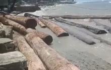 Viral Video Kapal Tongkang Muatan Kayu Asal Sumatra Barat Karam di Lampung, Begini Keterangan Polisi