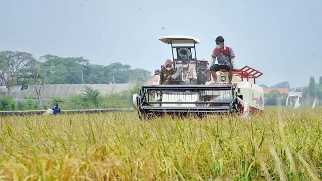 Agrikultur Adalah Upaya Membuat Pangan di Bidang Pertanian, Ketahui Jenis-Jenisnya