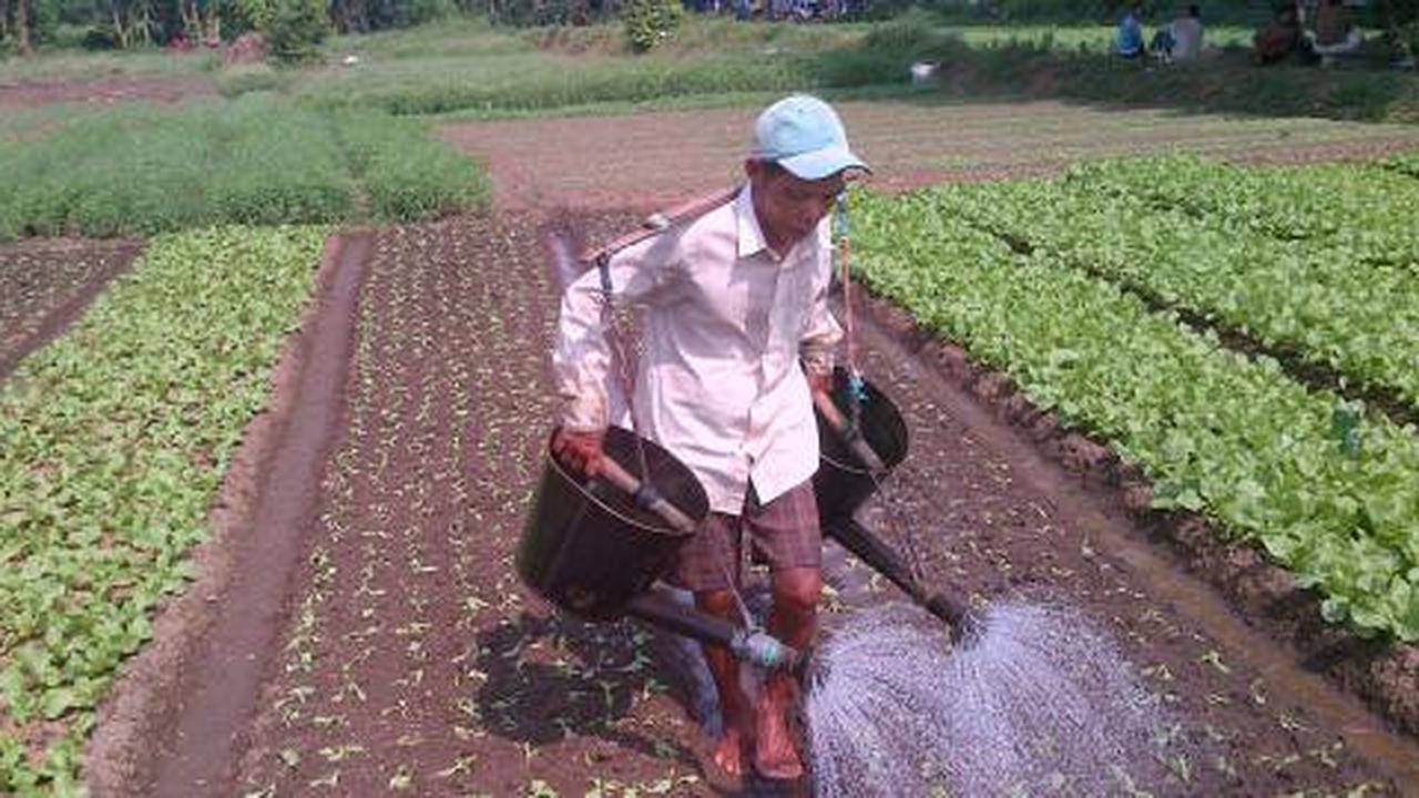 BPN diminta siapkan 4,8 juta Ha lahan pertanian